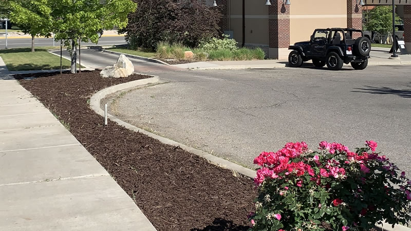 Commercial Landscape Maintenance Services