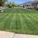 Landscape Maintenance Services