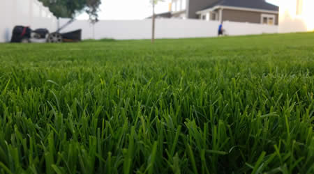 Lawn Care Services Clearfield Utah