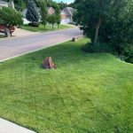 Lawn Care By Hansen and Sons