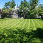 Lawn Care By Hansen and Sons