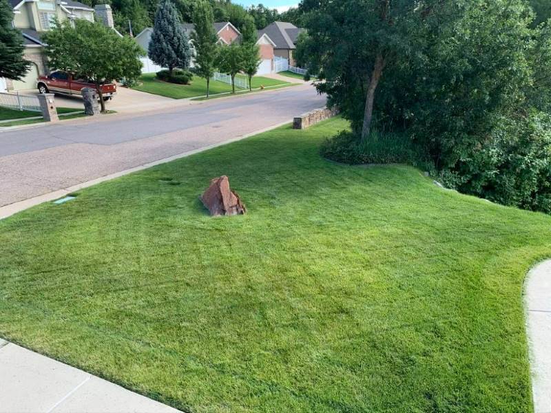 Landscaping Near Me