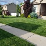 Lawn Care By Hansen and Sons