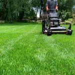 Lawn Care By Hansen and Sons