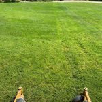 Lawn Care By Hansen and Sons