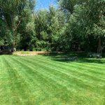 Lawn Care By Hansen and Sons