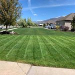Lawn Care By Hansen and Sons