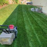 Lawn Care By Hansen and Sons
