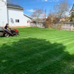 Lawn Care By Hansen and Sons