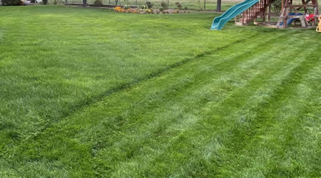 Lawn Fertilization Clearfield Utah