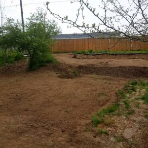 Sod Installation