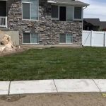 Lawn After Sod Installation