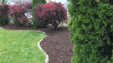 Yard Clean Up Clearfield Utah
