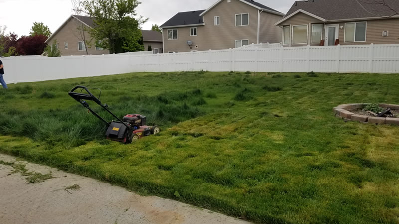 Yard Clean Up Services