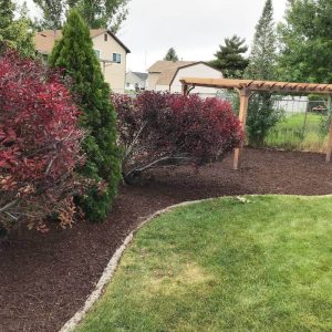 Mulch Installation