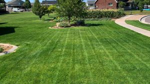 The Best Lawn Care Company In Clearfield Utah