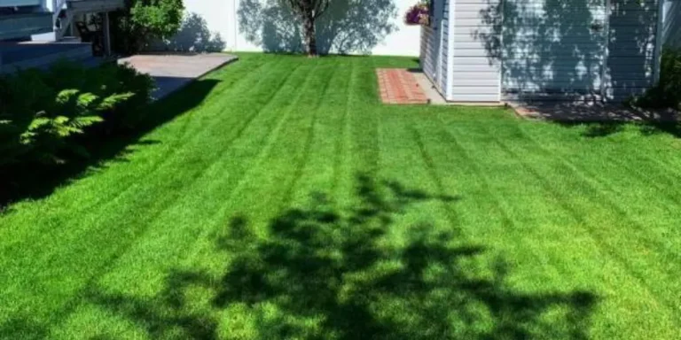 Springtime lawn install in Clearfield, Utah