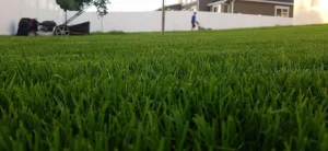 sprinkler system upgrades and installs