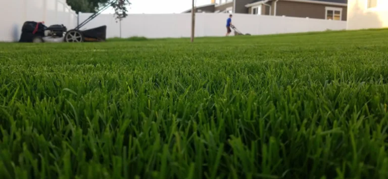 sprinkler system upgrades and installs